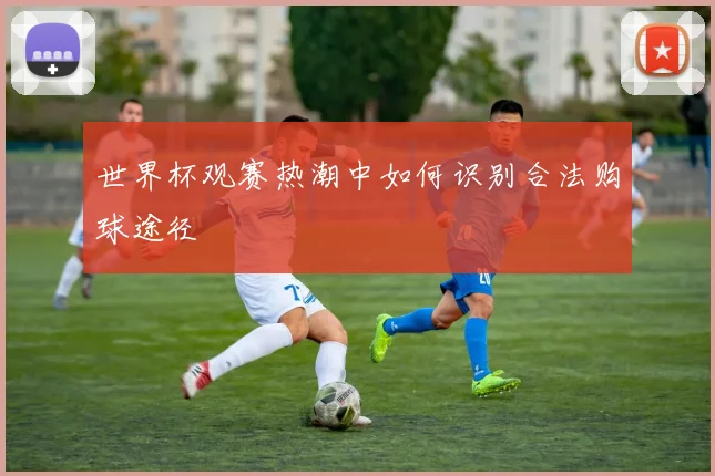 世界杯观赛热潮中如何识别合法购球途径