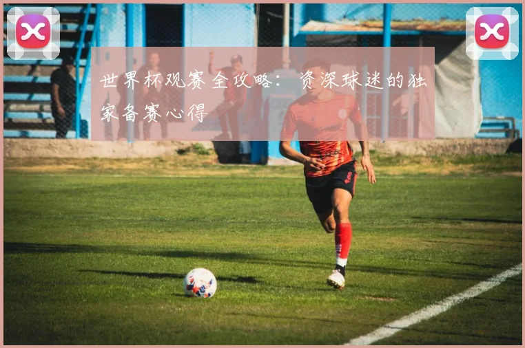 世界杯观赛全攻略:资深球迷的独家备赛心得