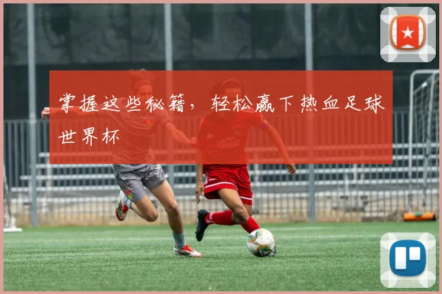 掌握这些秘籍,轻松赢下热血足球世界杯