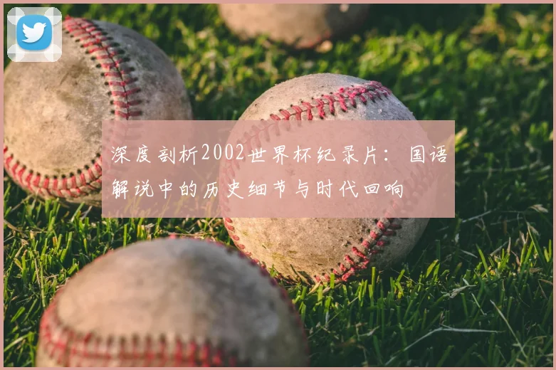 深度剖析2002世界杯纪录片：国语解说中的历史细节与时代回响