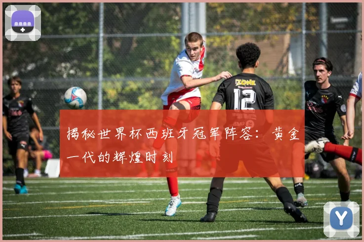 揭秘世界杯西班牙冠军阵容：黄金一代的辉煌时刻