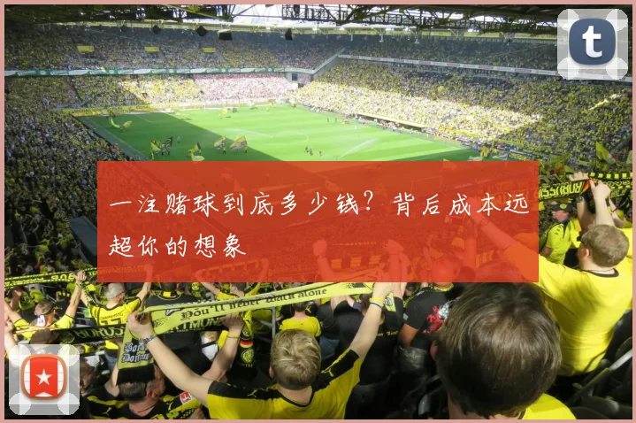 一注赌球到底多少钱？背后成本远超你的想象