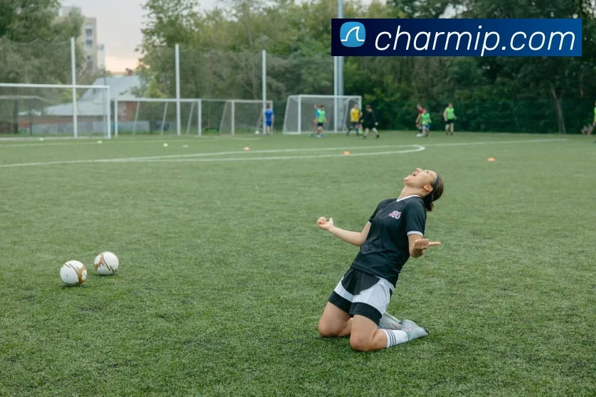 球盟体育官方网站APP 高清赛事图